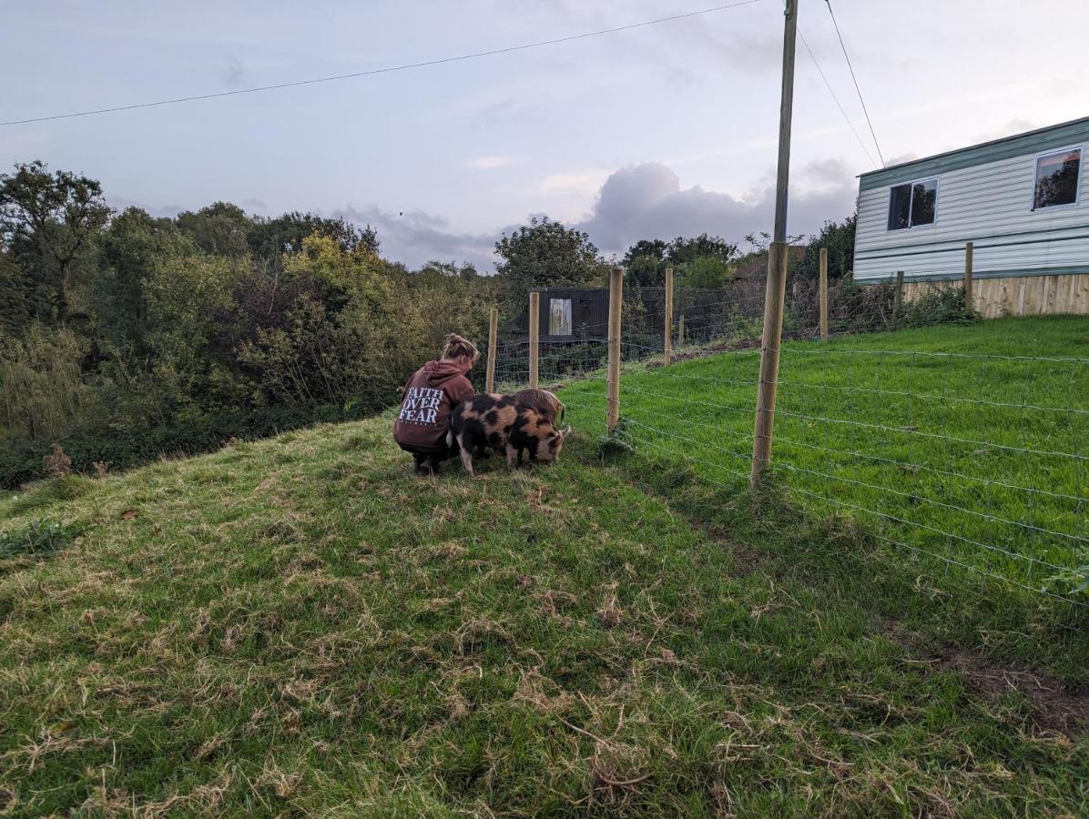 The Piggery Βίλα Witheridge Εξωτερικό φωτογραφία